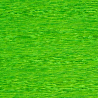 Бумага креповая светло-зеленая №22 50x200 см