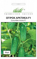 Семена Професійне насіння огурец Арктика F1 для маринования 10 шт. (4820176692849)