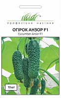 Семена Професійне насіння огурец Анзор F1 10 шт. (4820176690647)