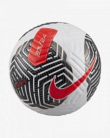 Футбольный мяч Nike NK FLIGHT - FA23 FB2901-100 р.5