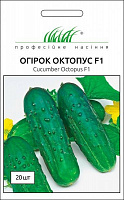 Насіння Професійне насіння огірок Октопус F1 20 шт.