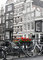 Репродукция Амстердам велосипед с цветами 50x70 см Арт Фемелі 