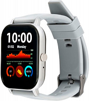 Смарт-часы Amico Go Fun Pulseoximeter and Tonometer grey (850474)