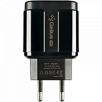 Зарядное устройство Gelius Pro Avangard GP-HC06 2USB 2.4A / кабель MicroUSB Black (2099900755880) 