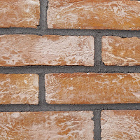 Плитка бетонна пряма Золотой Мандарин Бельгійська цегла Руселаре 0,5 кв.м 