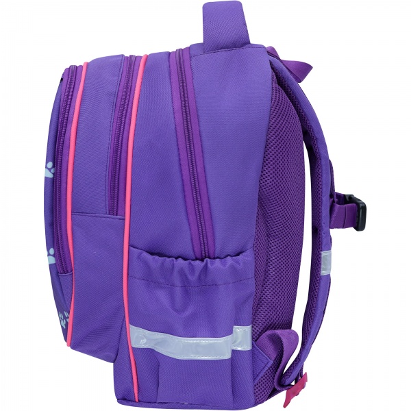 Рюкзак школьный Bagland Butterfly Кот в пузырьках фиолетовый (56566 суб.1241)