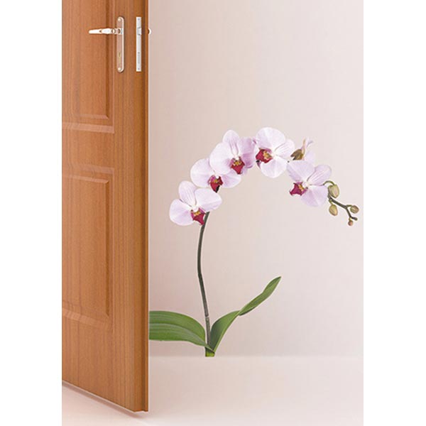 Декоративная наклейка Орхидея