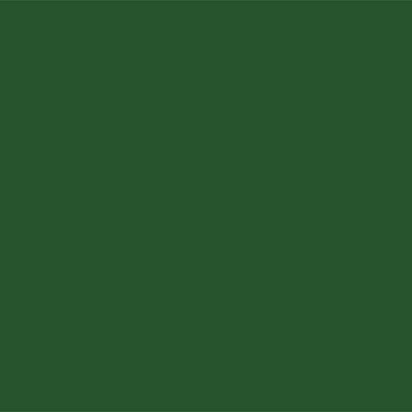 Емаль Sniezka Supermal Nitro зелена N510 1 л
