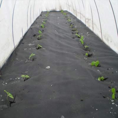 Агроволокно Виола 50 г/м2 черное 1.6 м