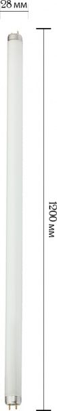Лампа люминесцентная Osram 36 Вт G13 6500 К 220 В T8 (4008321959836) 