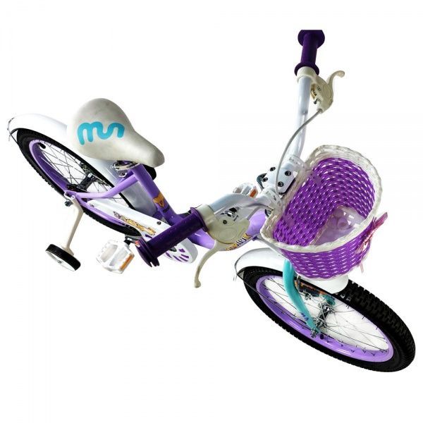 Велосипед детский RoyalBaby Chipmunk MM Girls фиолетовый CM18-2-purple 