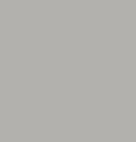 Эмаль акриловая LuxDecor светло-серый мат 2,5л