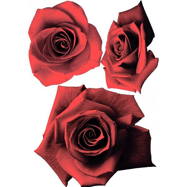 Декоративная наклейка Розы бархат