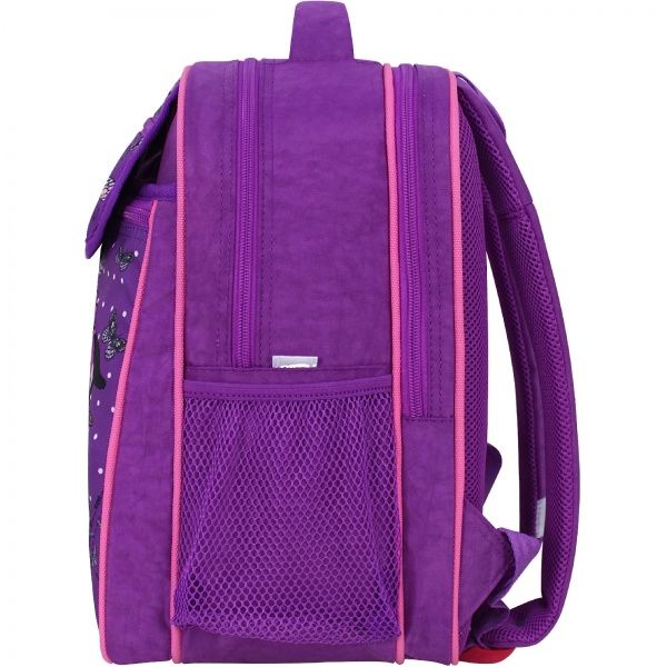 Рюкзак школьный Bagland Отличник 20 л фиолет суб.890 (58070)