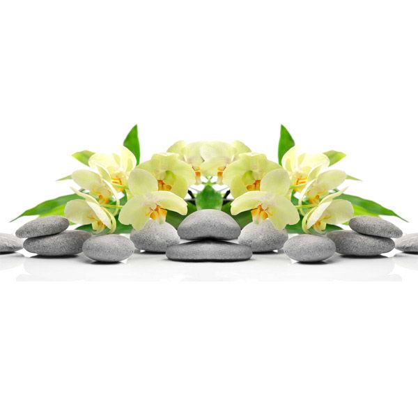 Декор Allore Group Сноувайт Орхидеи 200x500 мм