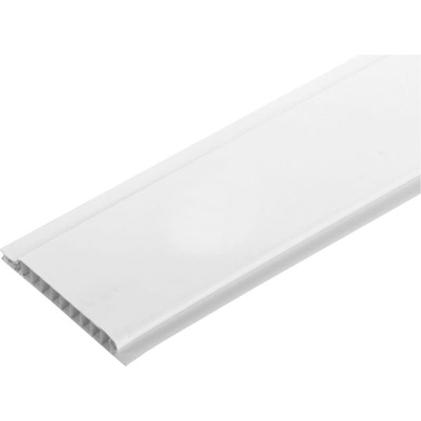 Панель ПВХ RIKO біла 8x100x3000 (0,3 кв.м)