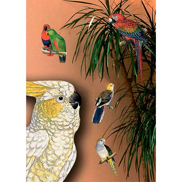 Декоративна наліпка Папуги