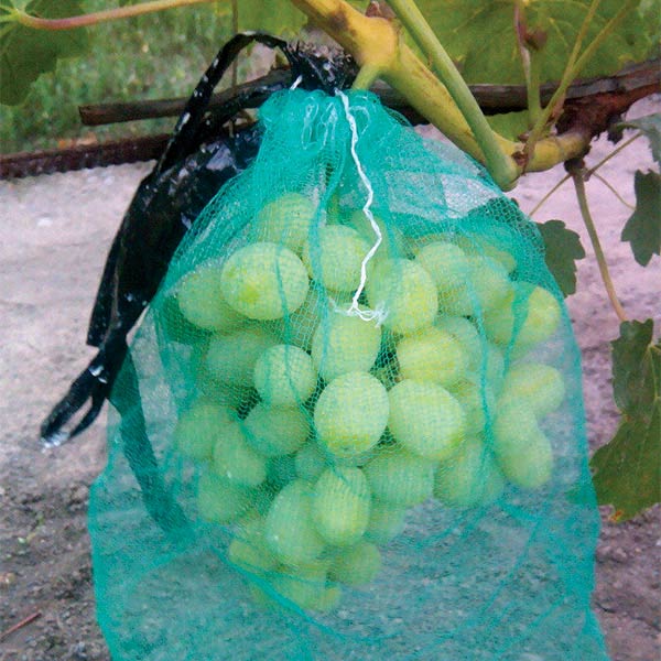 Сетка защитная для винограда, 22х35 см 10шт.