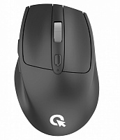 Мышка OfficePro black (M315B)