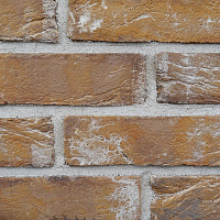 Плитка бетонна пряма Золотой Мандарин Бельгійська цегла Мускрон 0,5 кв.м 