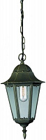 Светильник садовый Blitz 5020-31 E27 100 Вт IP44 античная бронза 