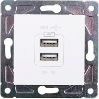 Механизм розетки USB оконечная двойная HausMark Alta без шторок без крышки белый SNG-SCP.SQ20MG2U-WH
