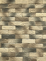Плитка бетонная прямая Живой камень Оксфорд-премьера 20 0,32 кв.м 