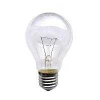 Лампа накаливания Belsvet A55 100 Вт E27 230 В прозрачная Б 100-5