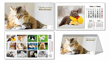 Календарь перекидной «Очаровательные любимцы (Коты) на 2021 год» 4820144130144