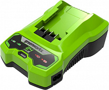 Зарядное устройство GreenWorks G24C без АКБ (2932407)