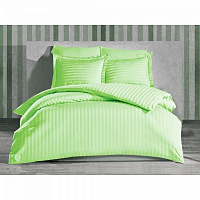 Комплект постельного белья Stripe Pistache 1,5 зеленый 