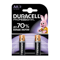 Батарейки Duracell Professional AA (LR6, 316) 2 шт. (81578678) 