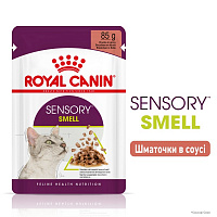 Корм для взрослых кошек стимулирующий обонятельные рецепторы Royal Canin Sensory Smell в соусе 85 г