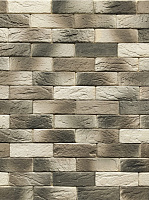 Плитка бетонна пряма Живий камінь Оскфорд-прем'єра 10 0,32 кв.м 