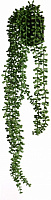 Растение искусственное Плющ Слезы Будды 70 см (JYS23-306)